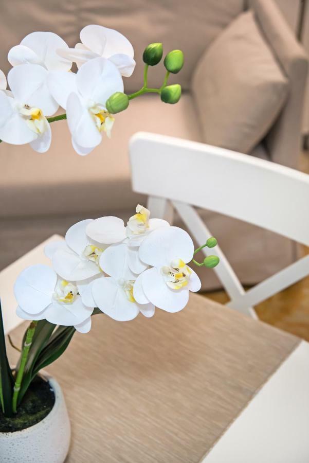 Veneziacentopercento Alle Ancore Apartment Buitenkant foto
